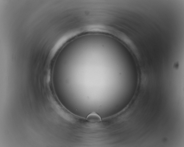 X0000114141376200910151558