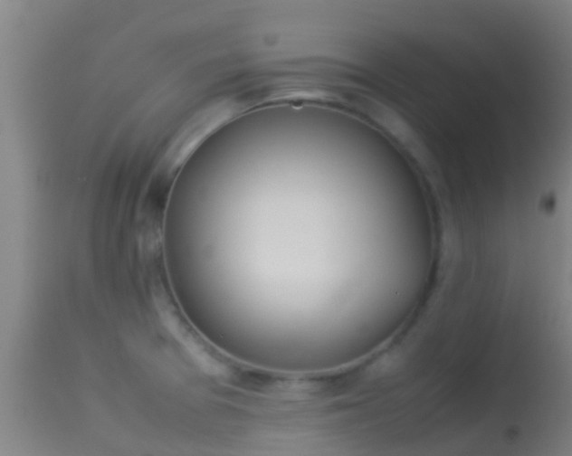 X0000114141377200910151558