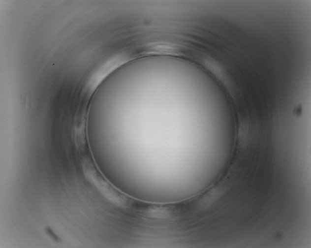 X0000114141378200910151558