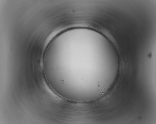 X0000114141380200910151558