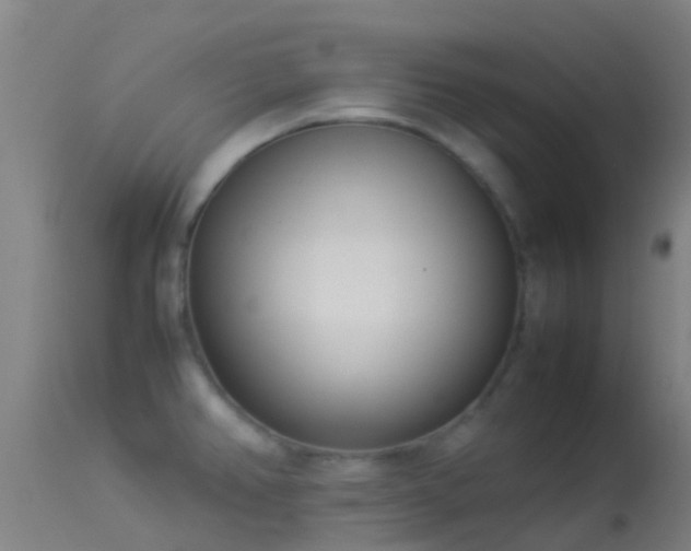 X0000114141382200910151558