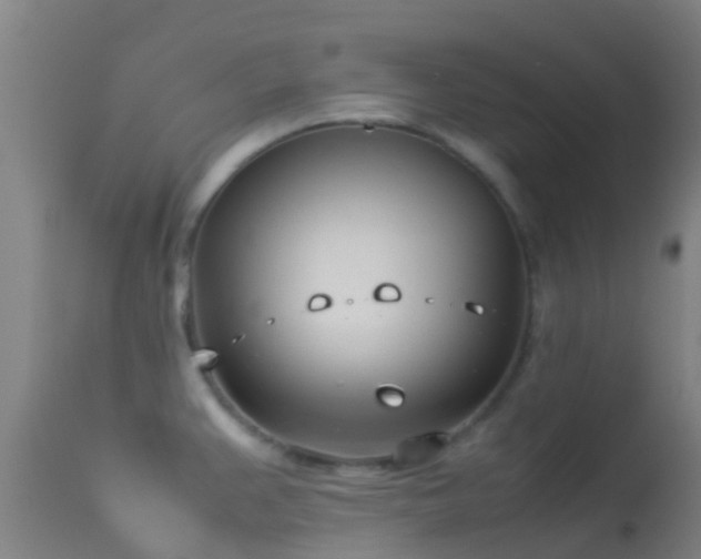 X0000114141383200910151558