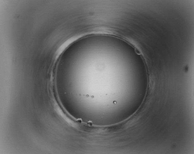 X0000114141387200910151558