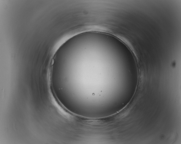 X0000114141391200910151558