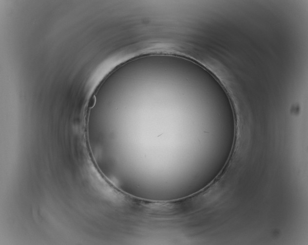 X0000114141392200910151558