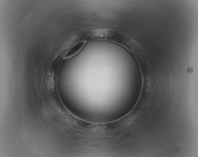 X0000114141394200910151557