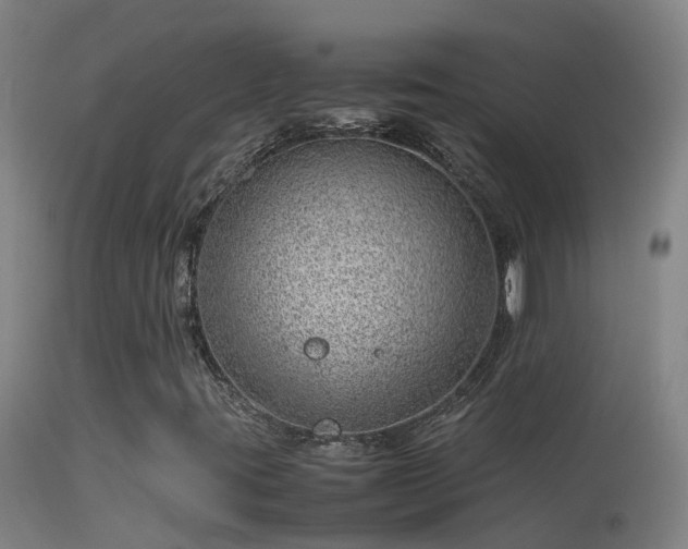 X0000114141395200910151557