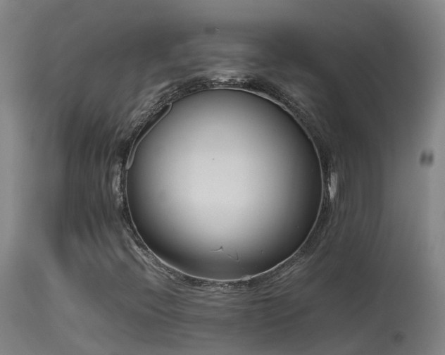 X0000114141396200910151557