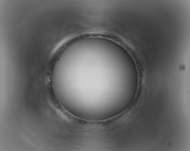 X0000114141400200910151557