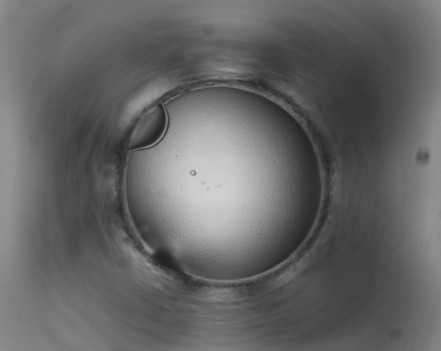 X0000114141402200910151557