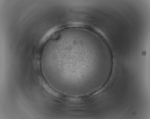 X0000114141403200910151557