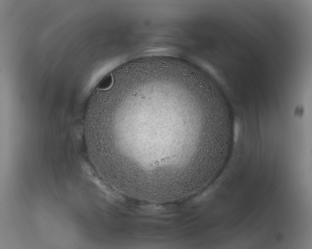 X0000114141405200910151557