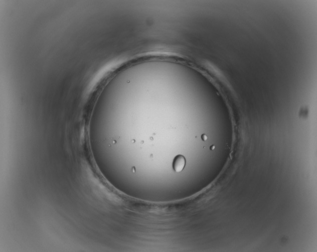 X0000114141408200910151558