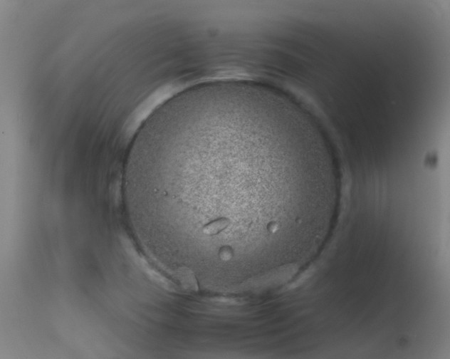 X0000114141409200910151558