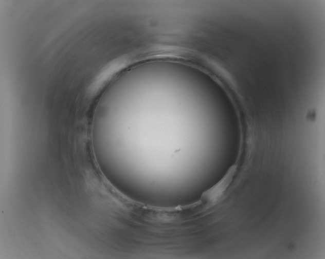 X0000114141411200910151558