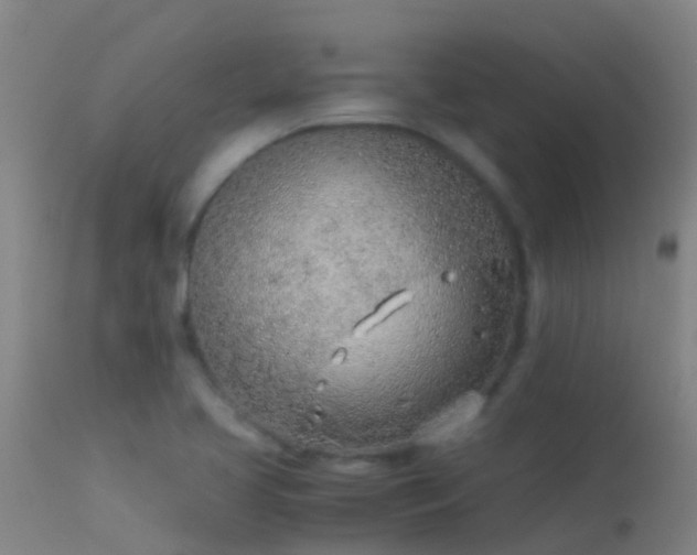 X0000114141413200910151558