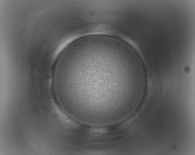 X0000114141415200910151558