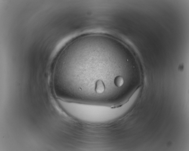 X0000114141416200910151558