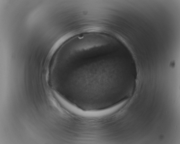 X0000114141418200910151558