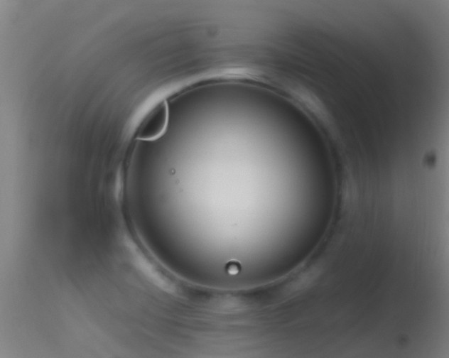 X0000114141420200910151558