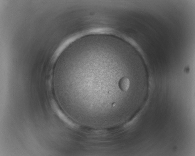 X0000114141421200910151558