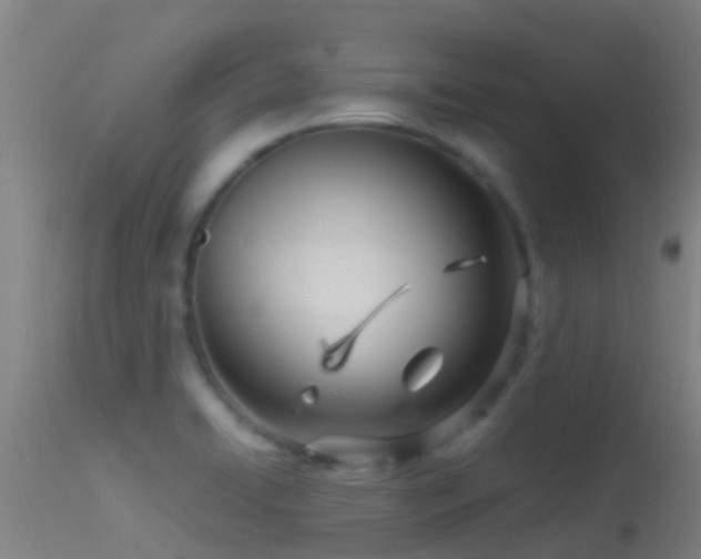 X0000114141422200910151558