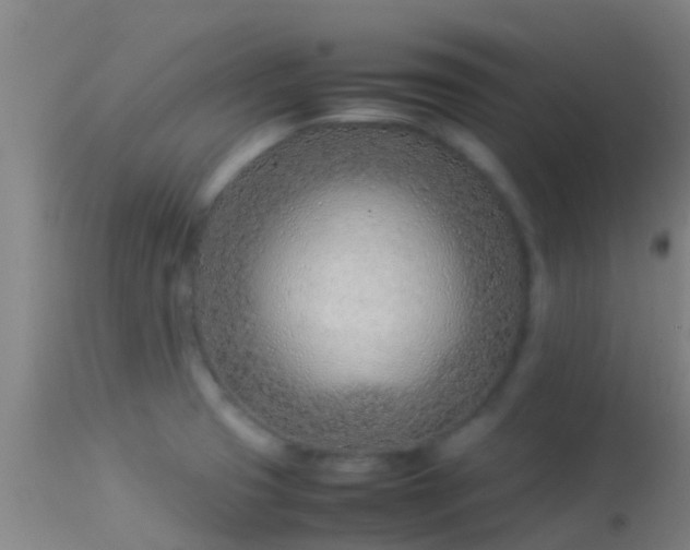 X0000114141425200910151558