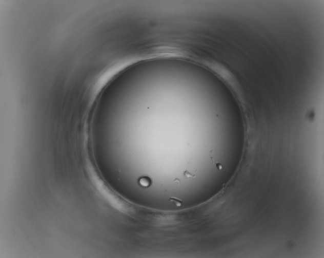 X0000114141431200910151558