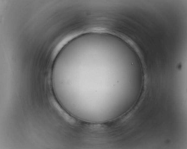 X0000114141432200910151558