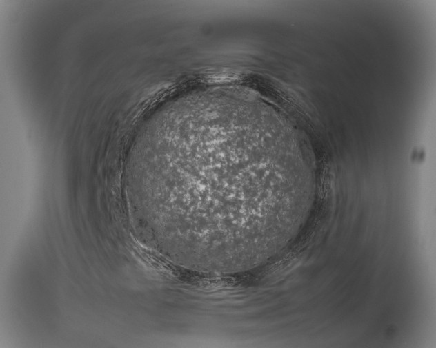 X0000114141441200910151557