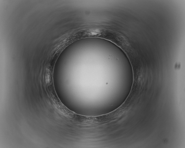 X0000114141442200910151557