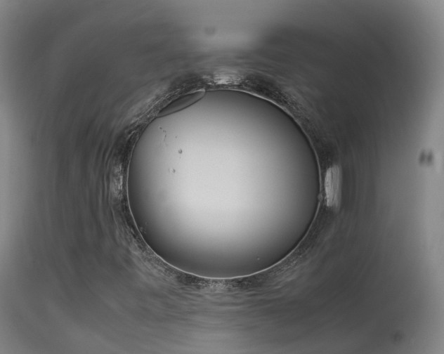 X0000114141443200910151557