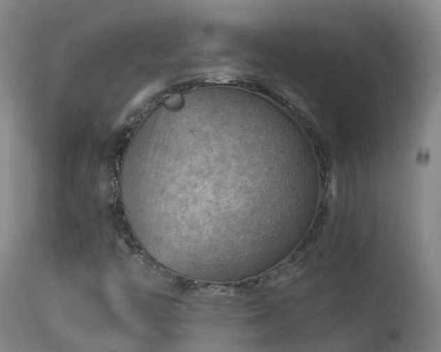 X0000114141446200910151557