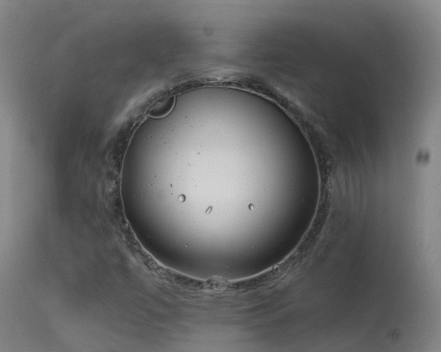 X0000114141447200910151557