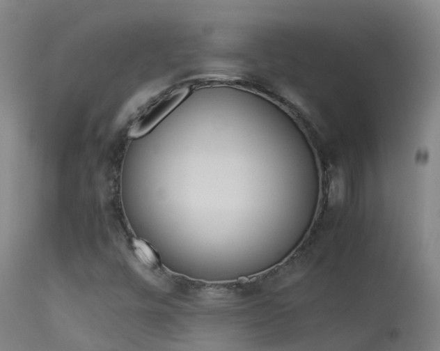 X0000114141448200910151557