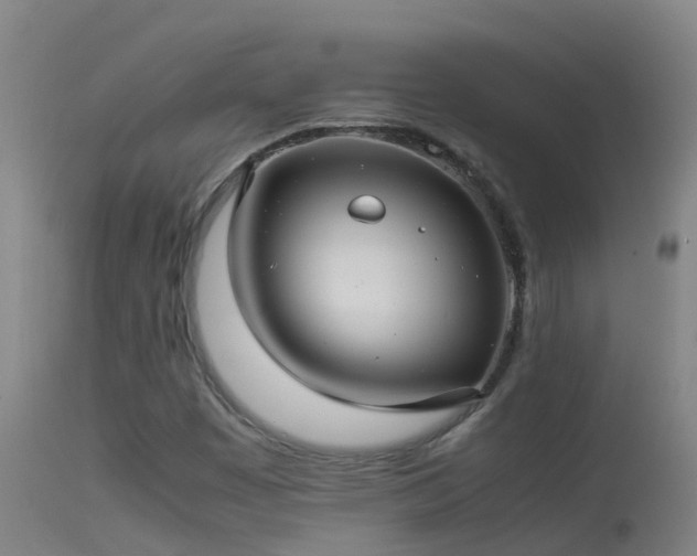 X0000114141449200910151557