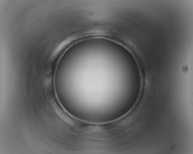 X0000114141450200910151557