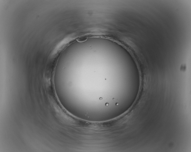 X0000114141451200910151557