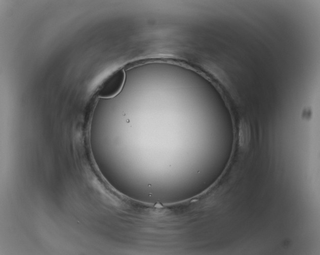 X0000114141452200910151557