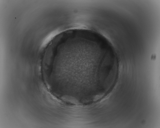 X0000114141455200910151557