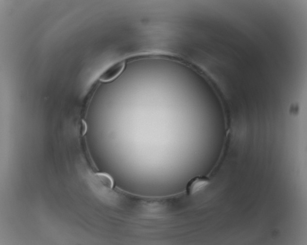 X0000114141460200910151557