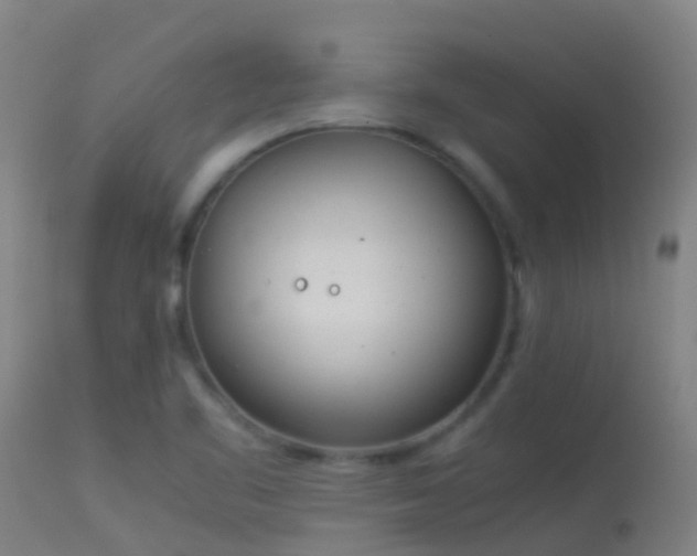 X0000114141461200910151557