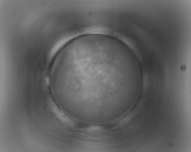 X0000114141462200910151557