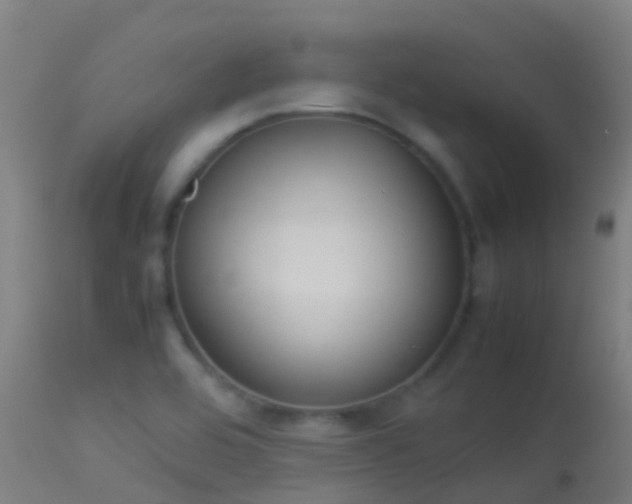 X0000114141464200910151557