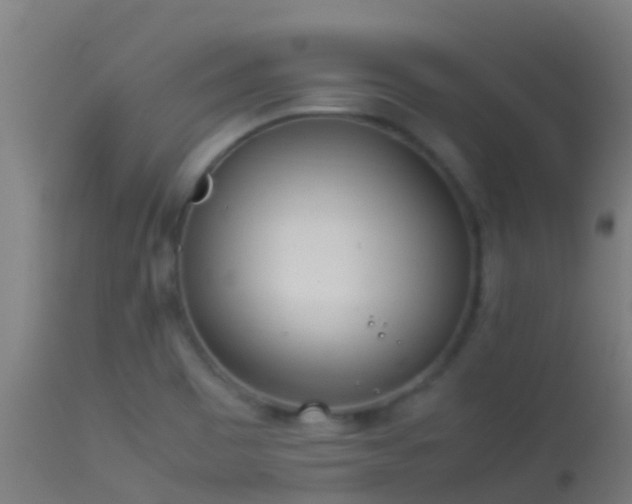 X0000114141465200910151557