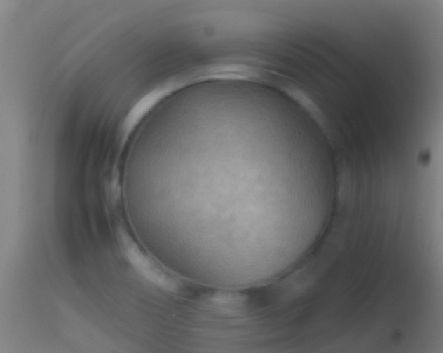 X0000114141466200910151557