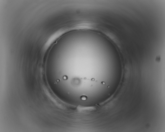 X0000114141469200910151557