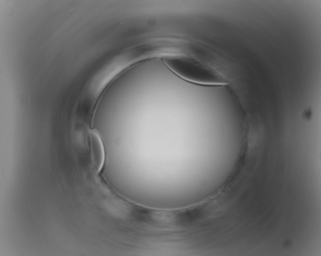 X0000114141473200910151557