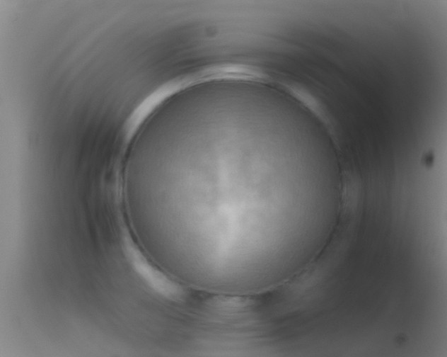 X0000114141474200910151557