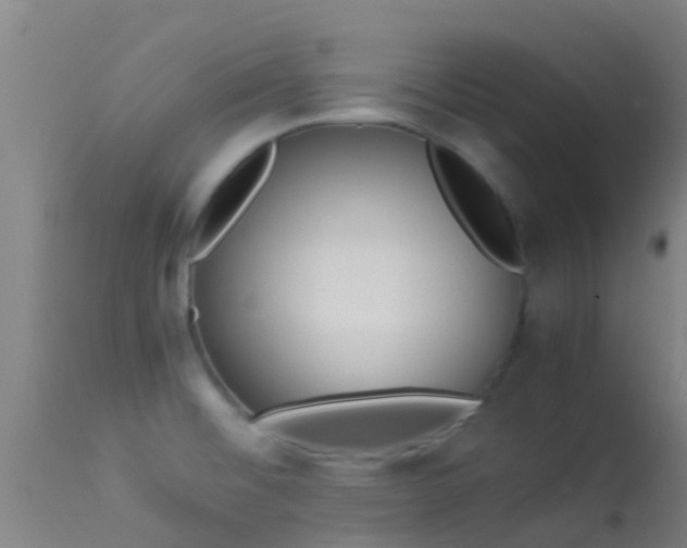 X0000114141476200910151557